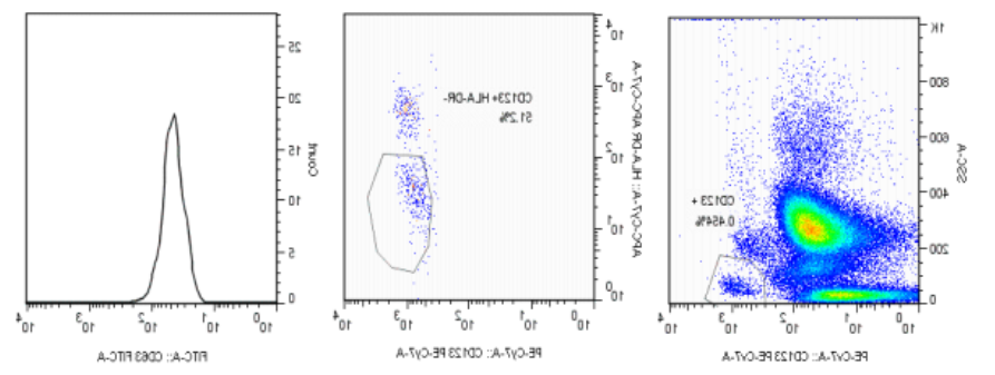 Basophilic granulocyte test kit